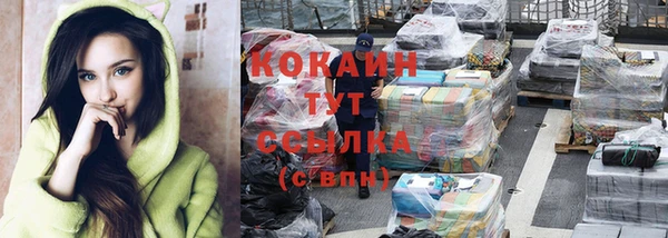 индика Абдулино