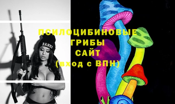 ешки Няндома