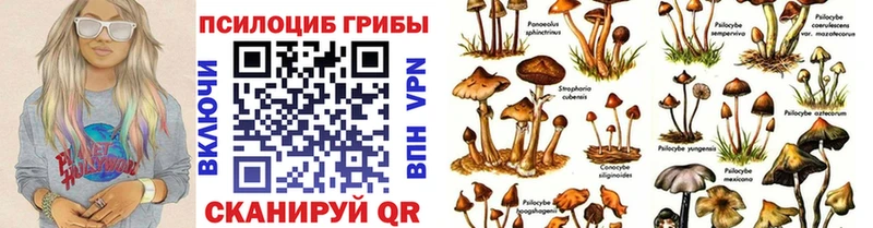 Псилоцибиновые грибы Magic Shrooms  ОМГ ОМГ ONION  Алагир 